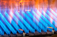 Bushey gas fired boilers